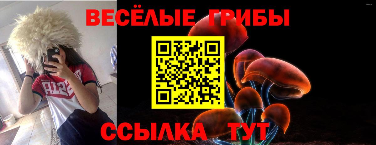 Тихорецк  Галлюциногенные грибы Psilocybe  Вход с VPN  Псилоцибиновые грибы Cubensis 